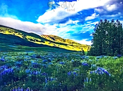 Алмазная мозаика/ подрамник/ полная выкладка/ круглые стразы/ 20х30см/ арт.Q288 ПРИРОДА