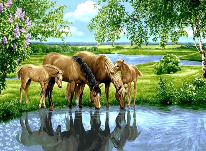 Алмазная мозаика, подрамник, полная выкладка, 40 х 50 см, арт. GA71821 НА ВОДОПОЕ