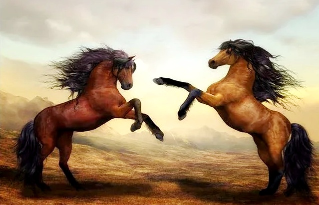 Алмазная мозаика/ подрамник/ полная выкладка/ 40х50см/ арт. GA73195 КОНИ