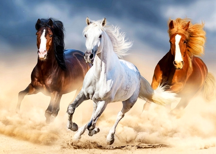 Алмазная мозаика/ подрамник/ полная выкладка/ круглые стразы/ 30х40см/ арт.GB81394 КОНИ title=