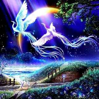 Алмазная мозаика/ без подрамника/ полная выкладка/ квадратные стразы/ 45х55см/ арт.S2972 ВОЛШЕБНЫЕ ПТИЦЫ