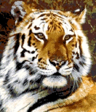 Схема для вышивания 40х50/ арт.0091 ТИГР
