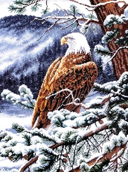 Схема для вышивания 40х50/ арт.0315 ОРЕЛ