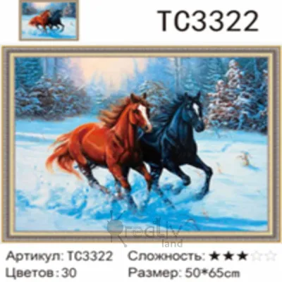 Алмазная мозаика, подрамник, полная выкладка, круглые стразы, 50 х 65 см, арт. ТС3322 ЛОШАДИ
