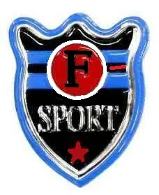 Лейбл пришивной "F SPORT", фас. 10 шт, размер 57 х 45 мм, арт. 97